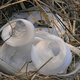 Image for article titled Best of the Week: November 24-30, 2012
